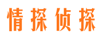 甘洛市场调查